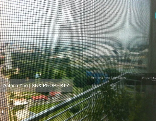 Citylights thumbnail photo